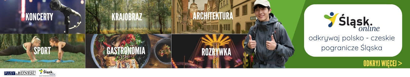 slask_online