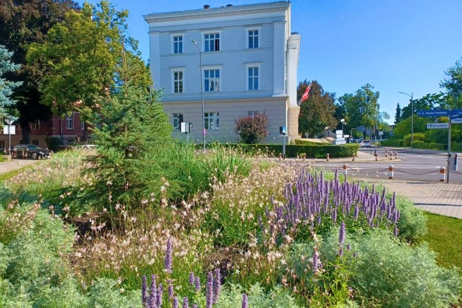 zielen raciborz