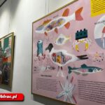 „Żywioły” w raciborskiej bibliotece. Wystawa pełna naukowych ciekawostek