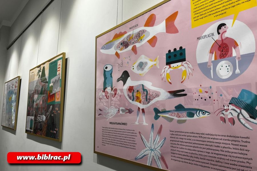 „Żywioły” w raciborskiej bibliotece. Wystawa pełna naukowych ciekawostek