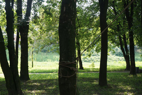 park zamkowy racibórz firma calla katowice