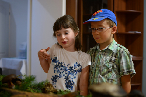 Sanepid Racib&oacute;rz wystawa grzyb&oacute;w fotorelacja 2016